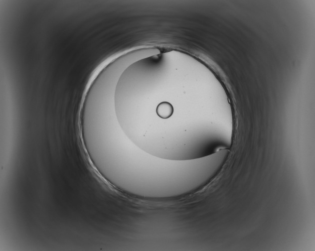 X0000083001344200703020856