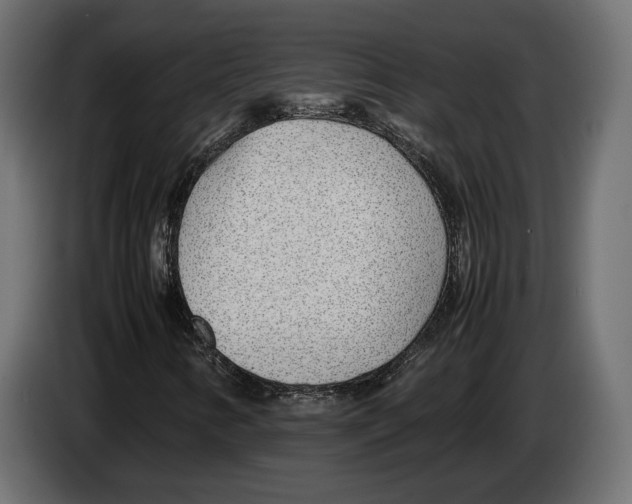 X0000083001346200703020856