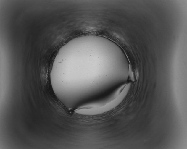 X0000083001348200703020856