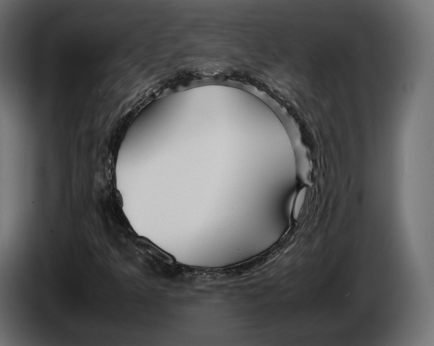 X0000083001349200703020856