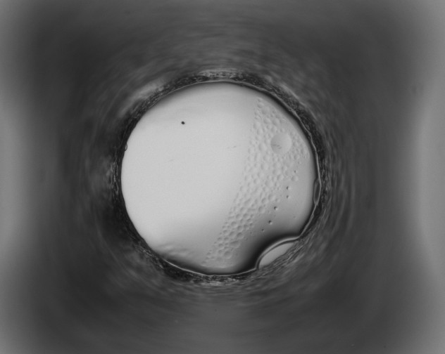 X0000083001351200703020856