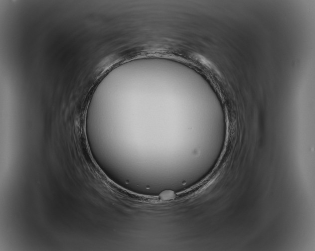 X0000083001353200703020856