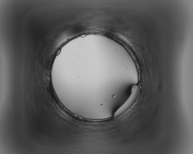 X0000083001355200703020856