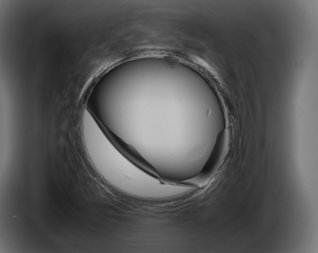 X0000083001357200703020856