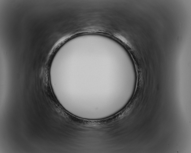 X0000083001358200703020856