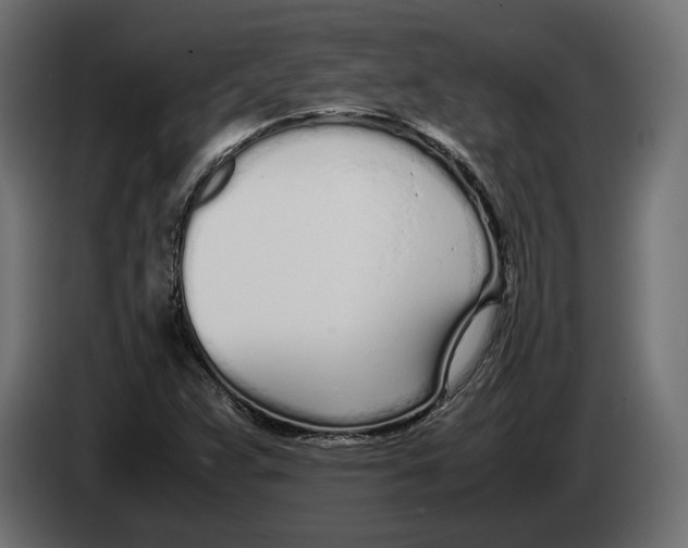 X0000083001359200703020856