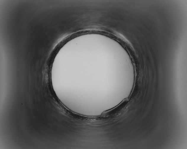 X0000083001360200703020856