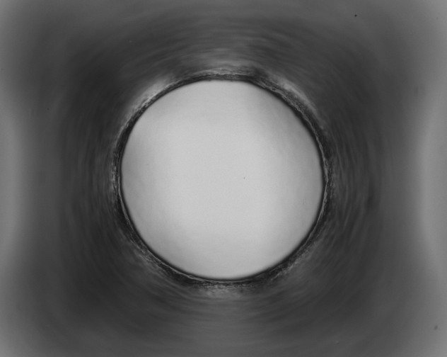 X0000083001362200703020856