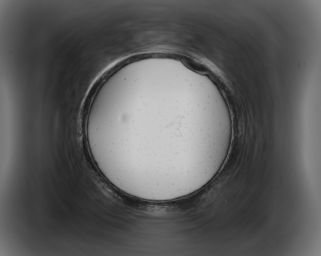 X0000083001364200703020856