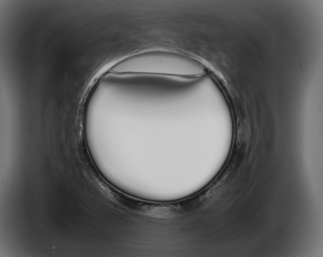 X0000083001367200703020855