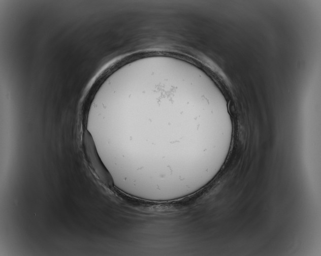 X0000083001368200703020855