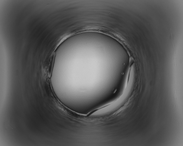 X0000083001369200703020855