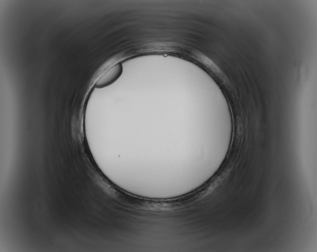 X0000083001370200703020855