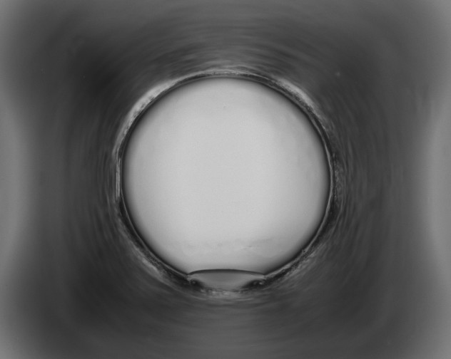 X0000083001371200703020855