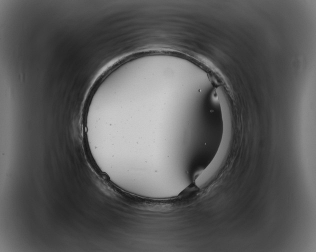 X0000083001372200703020855