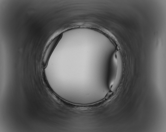 X0000083001373200703020855