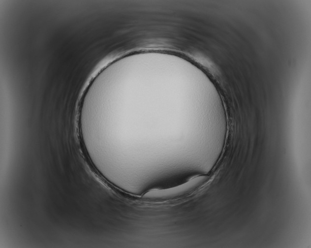 X0000083001374200703020855