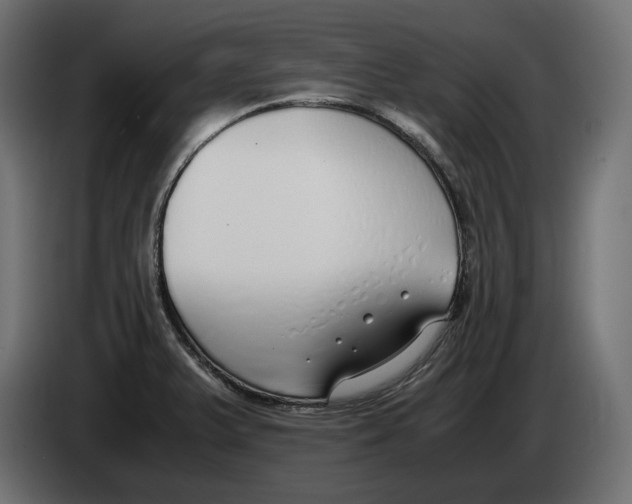 X0000083001375200703020855