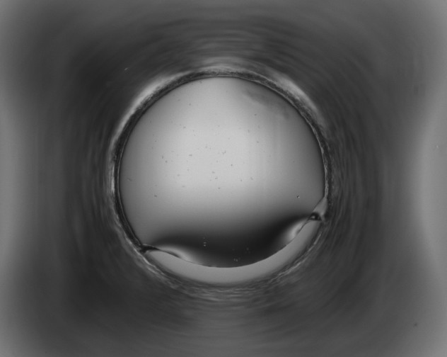 X0000083001376200703020855