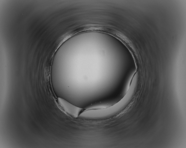 X0000083001377200703020855