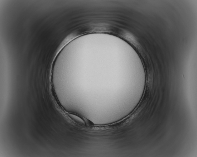 X0000083001378200703020855