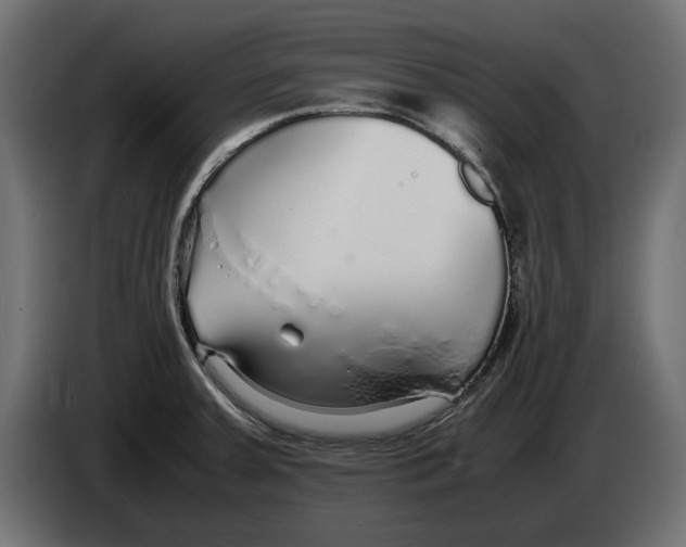 X0000083001379200703020855