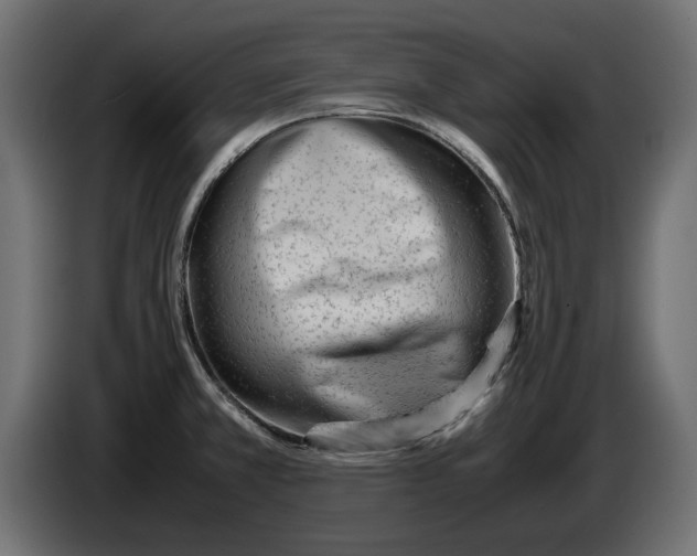 X0000083001381200703020855