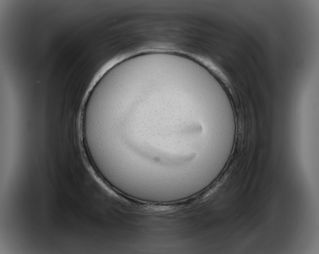 X0000083001382200703020855