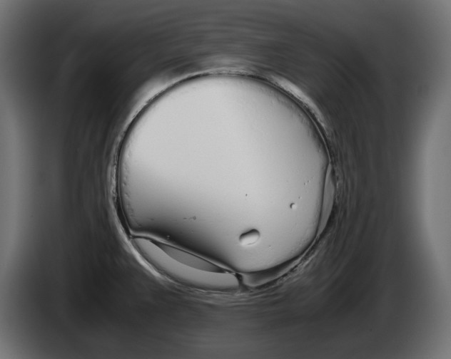 X0000083001383200703020855