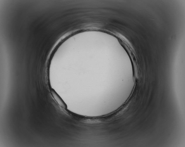 X0000083001384200703020855