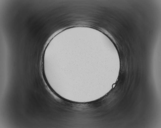 X0000083001387200703020855