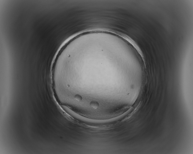 X0000083001388200703020855