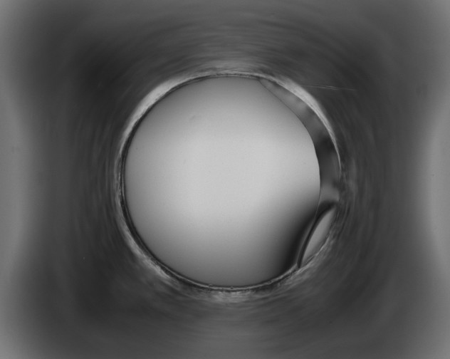 X0000083001389200703020855