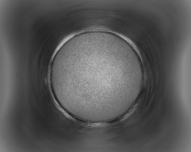 X0000083001390200703020855