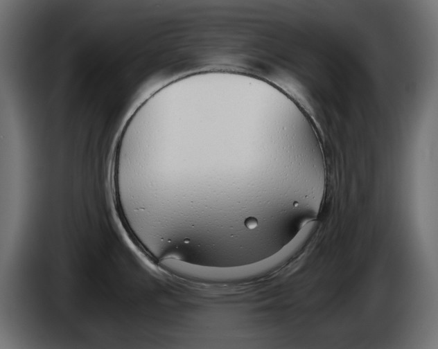 X0000083001391200703020855