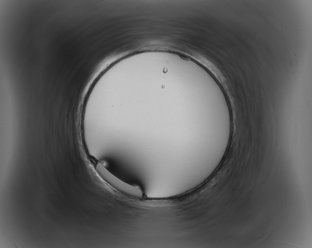 X0000083001392200703020855