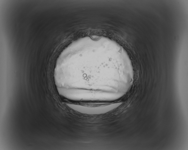 X0000083001393200703020855