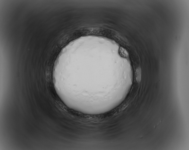 X0000083001395200703020855