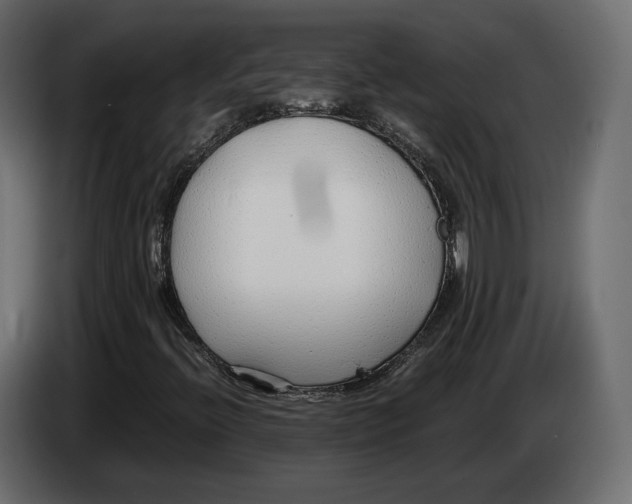 X0000083001396200703020855