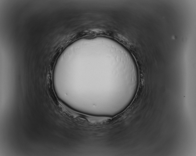 X0000083001397200703020855