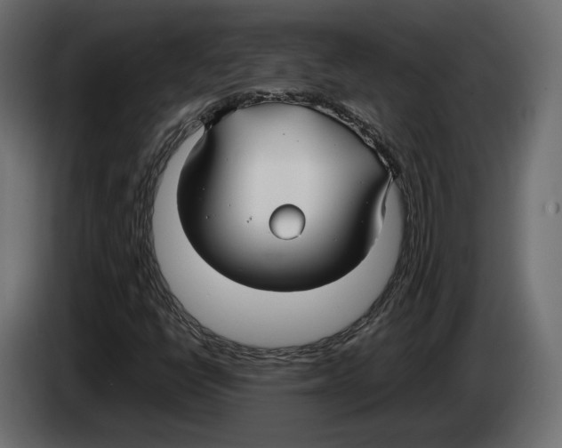 X0000083001398200703020855