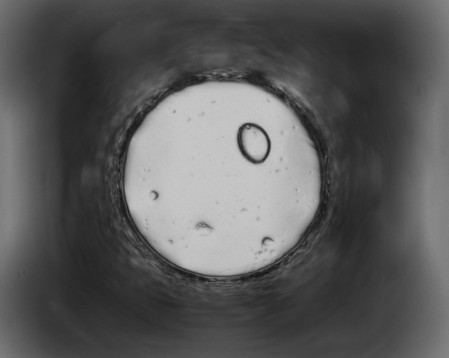 X0000083001399200703020855