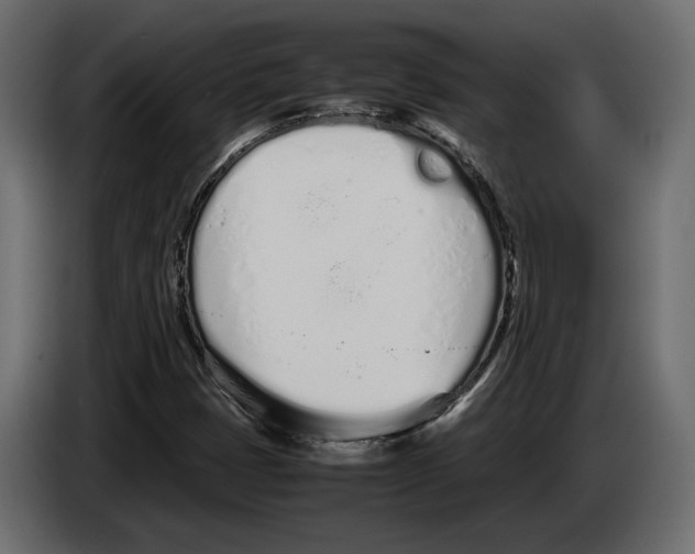 X0000083001401200703020855