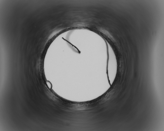 X0000083001404200703020855