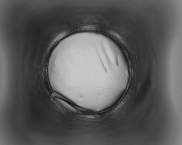 X0000083001405200703020855