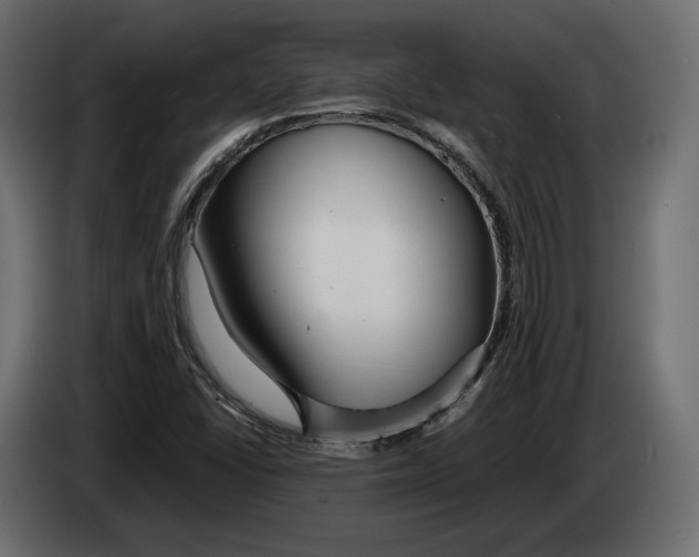 X0000083001406200703020855