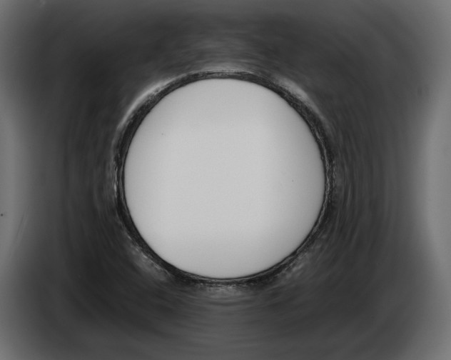 X0000083001408200703020855