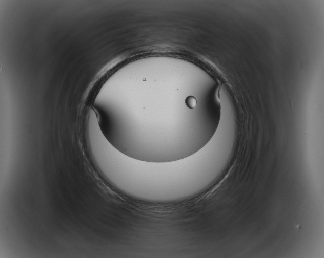 X0000083001410200703020855