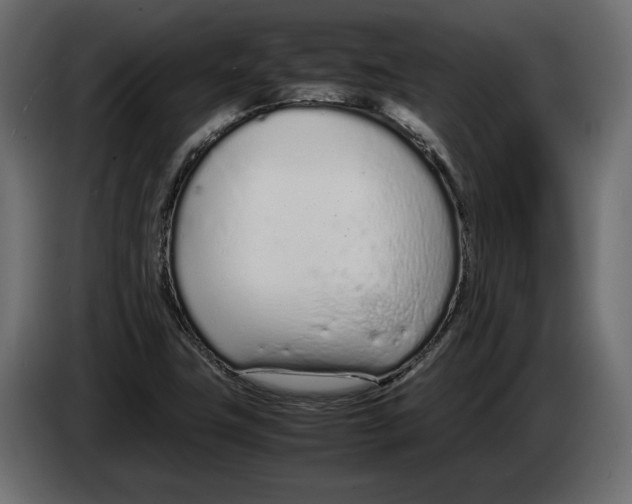 X0000083001411200703020855