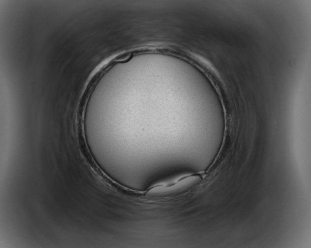 X0000083001412200703020855